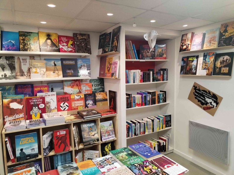 romans graphiques & bd adultes/ados