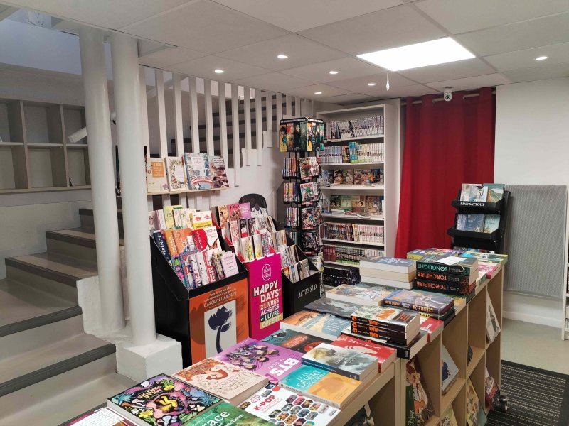 Mangas & romans ados